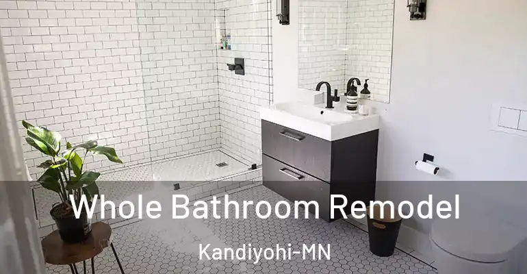 inner Bathroom imggen Whole Bathroom Remodel Kandiyohi-MN
