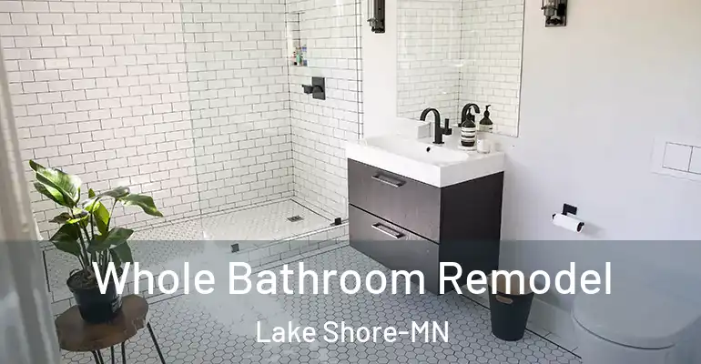 inner Bathroom imggen Whole Bathroom Remodel Lake Shore-MN