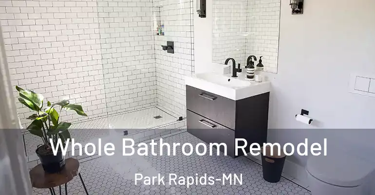 inner Bathroom imggen Whole Bathroom Remodel Park Rapids-MN