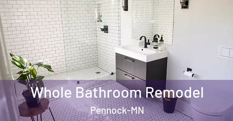 inner Bathroom imggen Whole Bathroom Remodel Pennock-MN