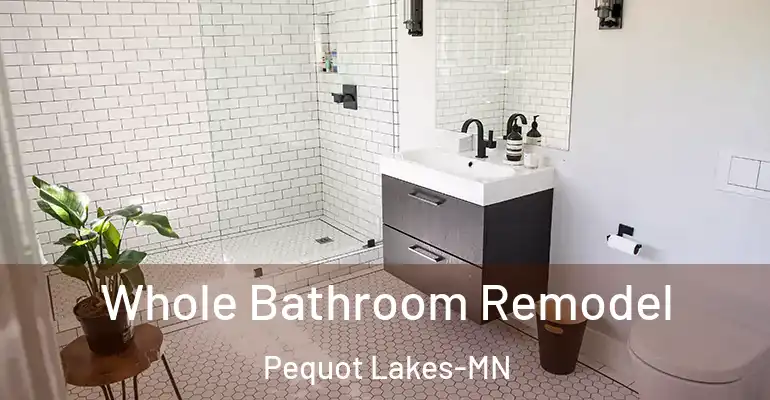 inner Bathroom imggen Whole Bathroom Remodel Pequot Lakes-MN