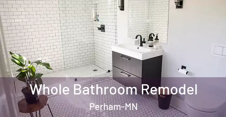 inner Bathroom imggen Whole Bathroom Remodel Perham-MN
