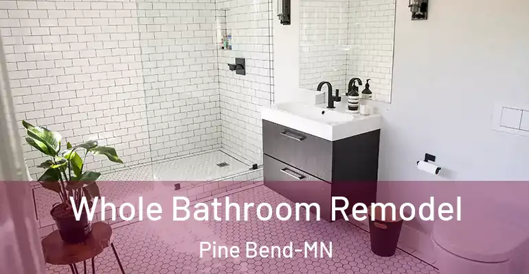 inner Bathroom imggen Whole Bathroom Remodel Pine Bend-MN