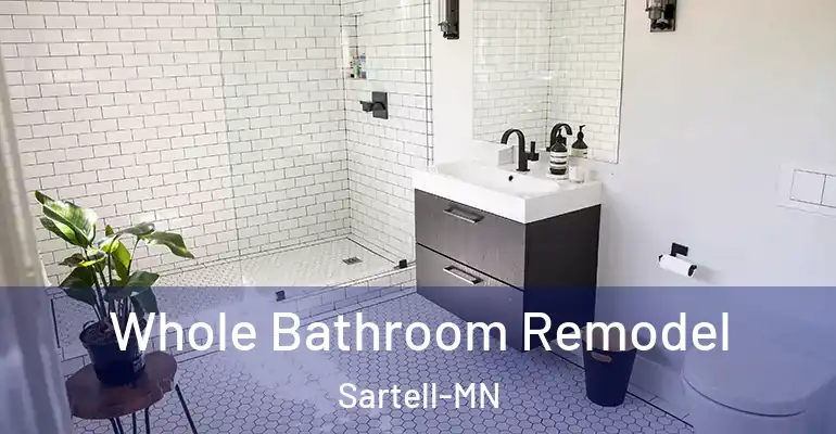 inner Bathroom imggen Whole Bathroom Remodel Sartell-MN
