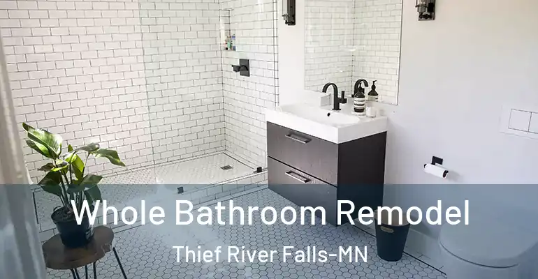 inner Bathroom imggen Whole Bathroom Remodel Thief River Falls-MN