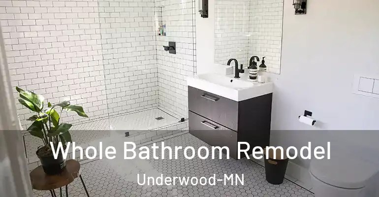inner Bathroom imggen Whole Bathroom Remodel Underwood-MN