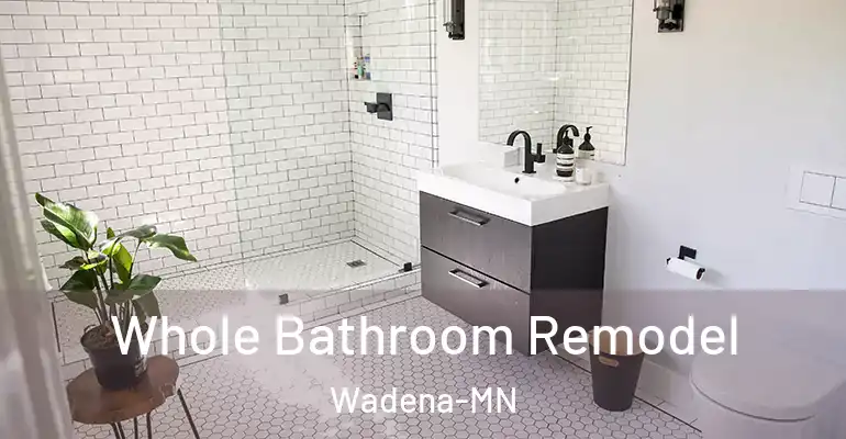 inner Bathroom imggen Whole Bathroom Remodel Wadena-MN