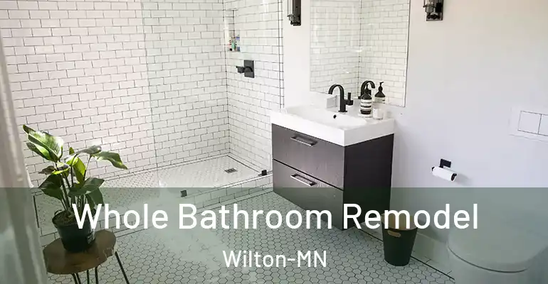 inner Bathroom imggen Whole Bathroom Remodel Wilton-MN