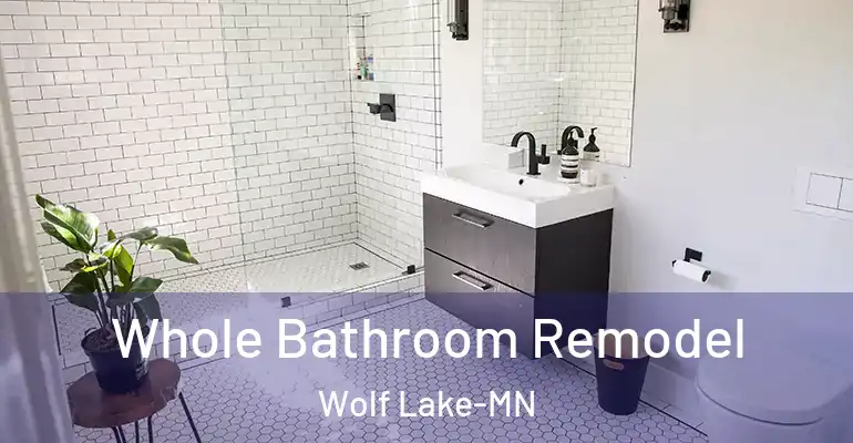 inner Bathroom imggen Whole Bathroom Remodel Wolf Lake-MN